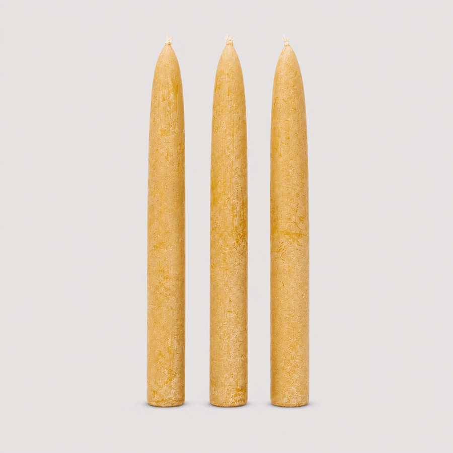Candles Taper Candle Set of 3 | Cedar Yellow from Obakki