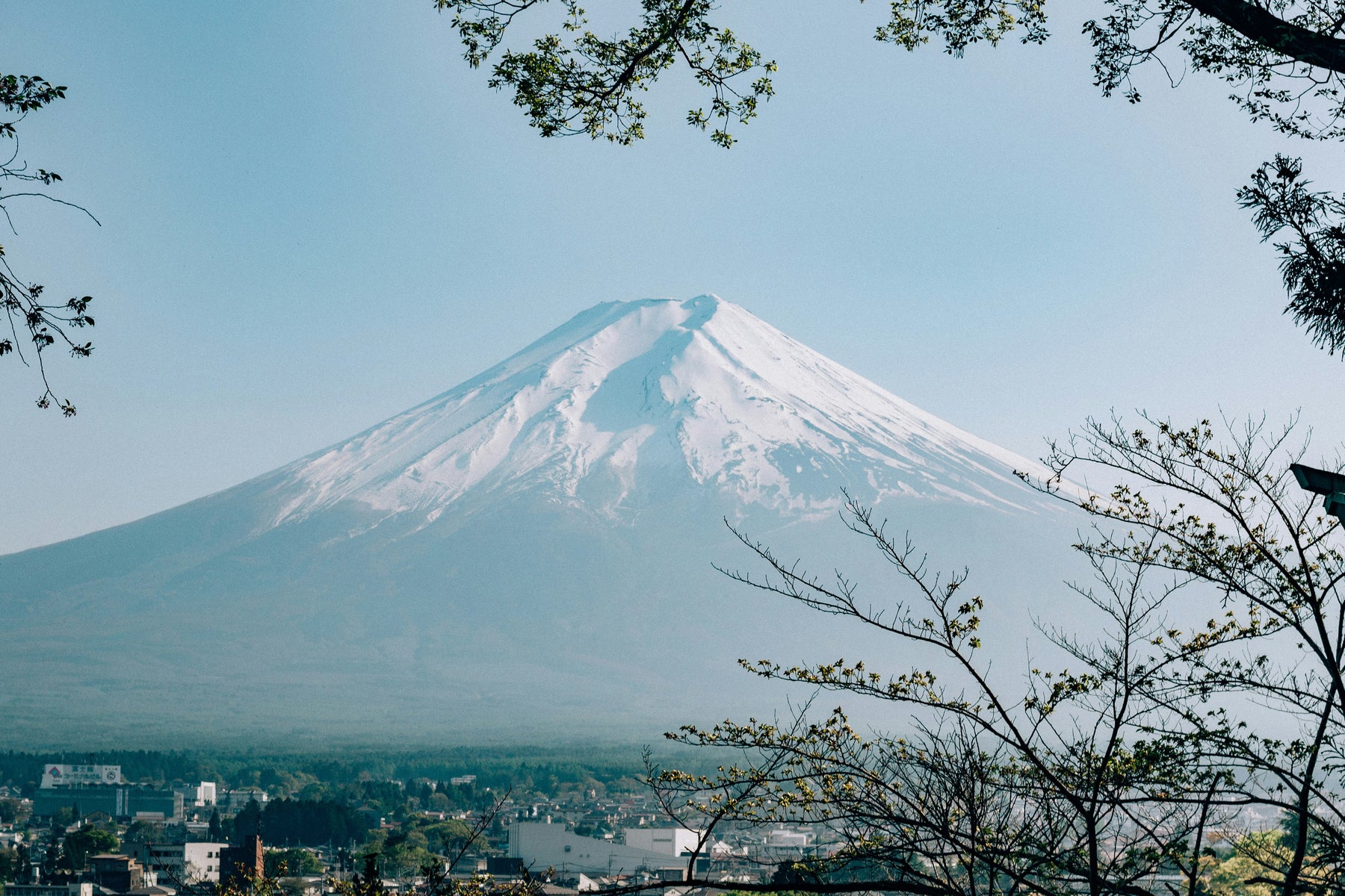 <p>JAPAN</p>