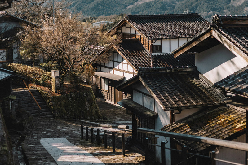 Traditional Japanese houses with tiled roofs in a village setting.