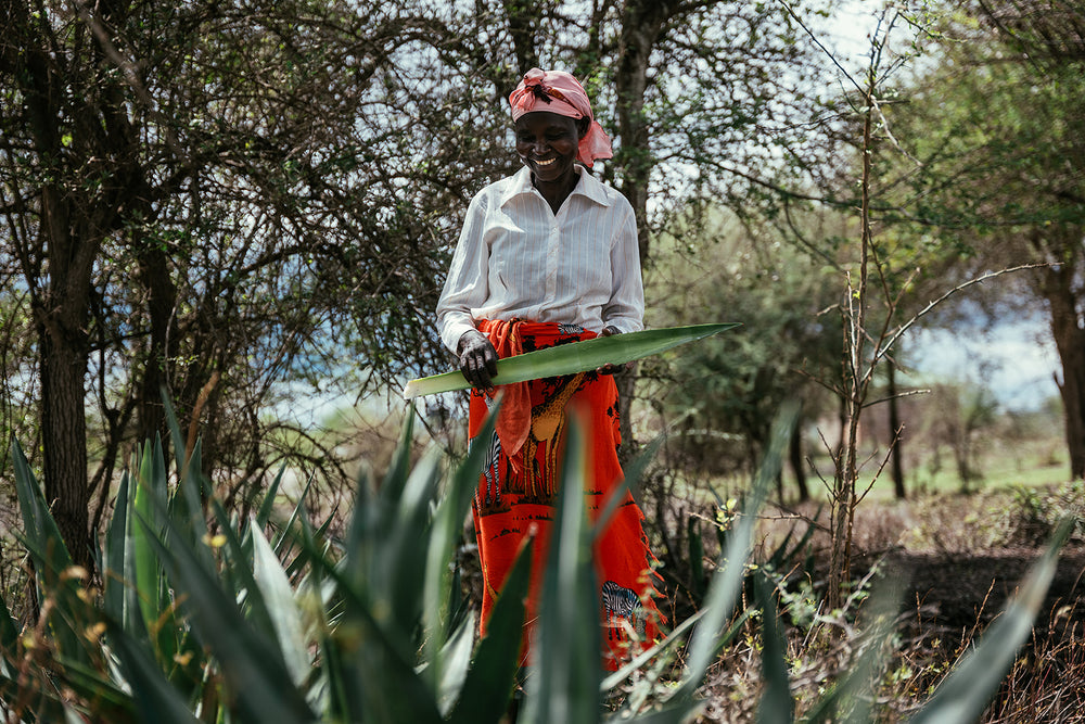 A weaver from Kitui holding a branch from a sisal plant. She smiles.