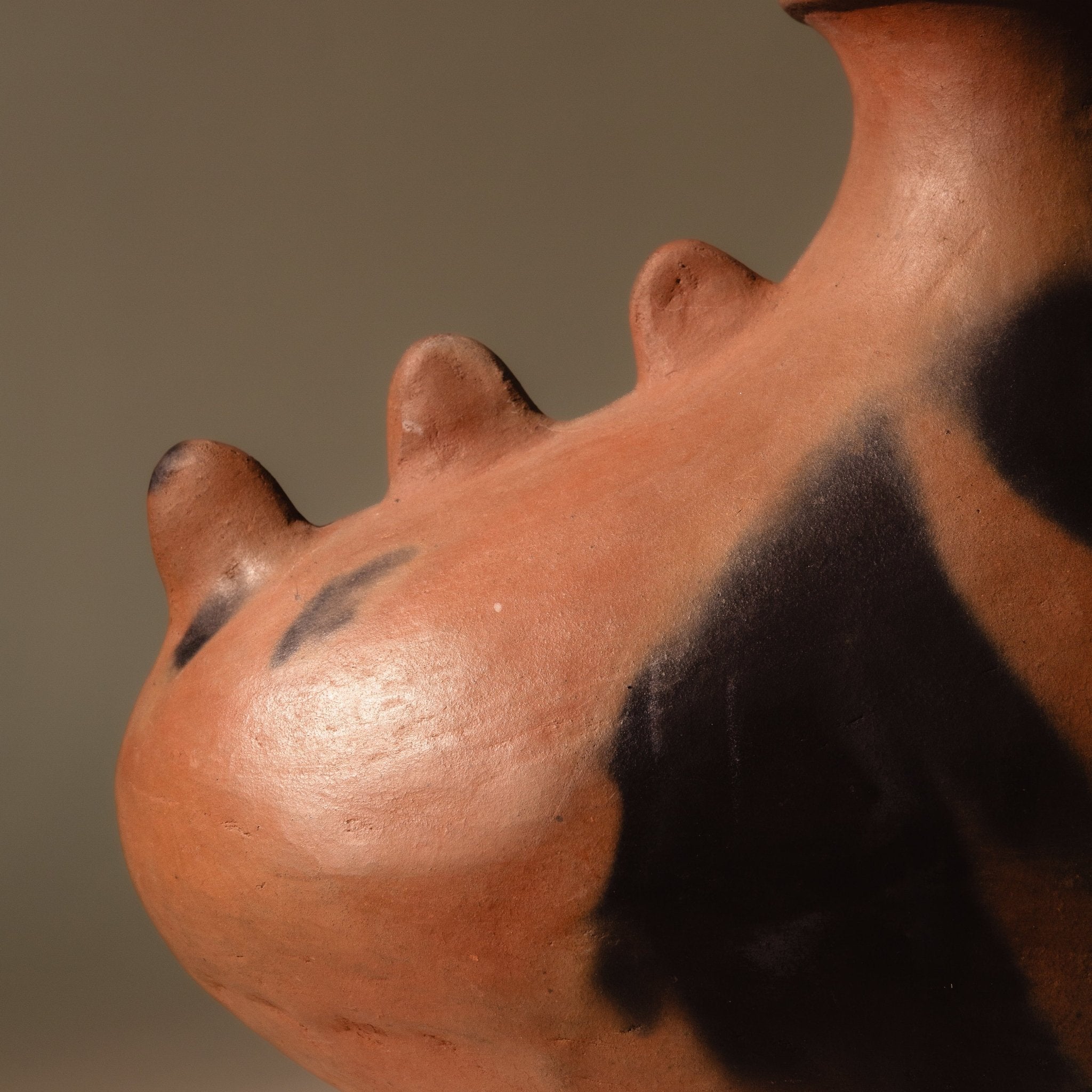 Lagarto Cococha Clay Vase_San Bartolme Cocucho_201-74-1819-766CLAYOS | Obakki