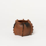 Maceta Biznaga Clay Planter | Mini_San Bartolme Cocucho_201-74-1902-766NaturalXSmall | Obakki
