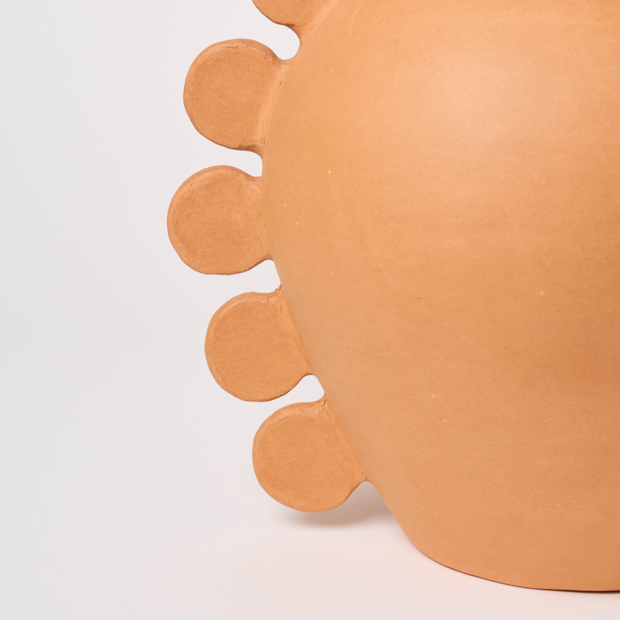 Oaxacan Clay Arowana Vase Rufina Obakki