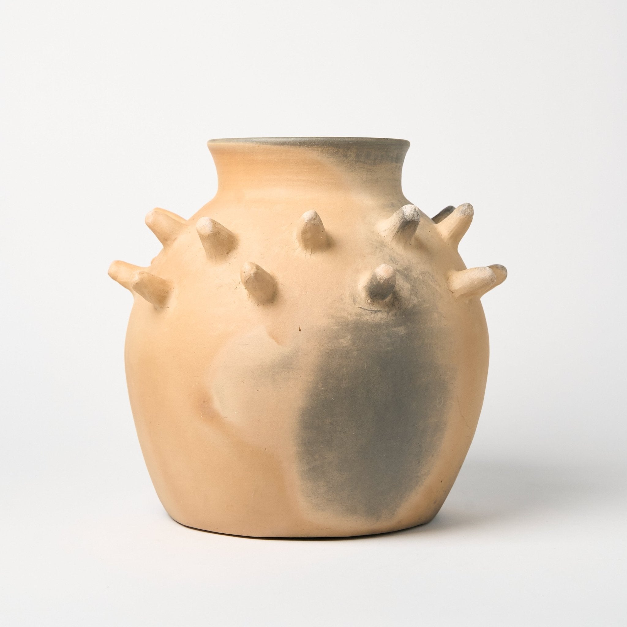 Oaxacan Clay Espinas Vase Rufina Obakki