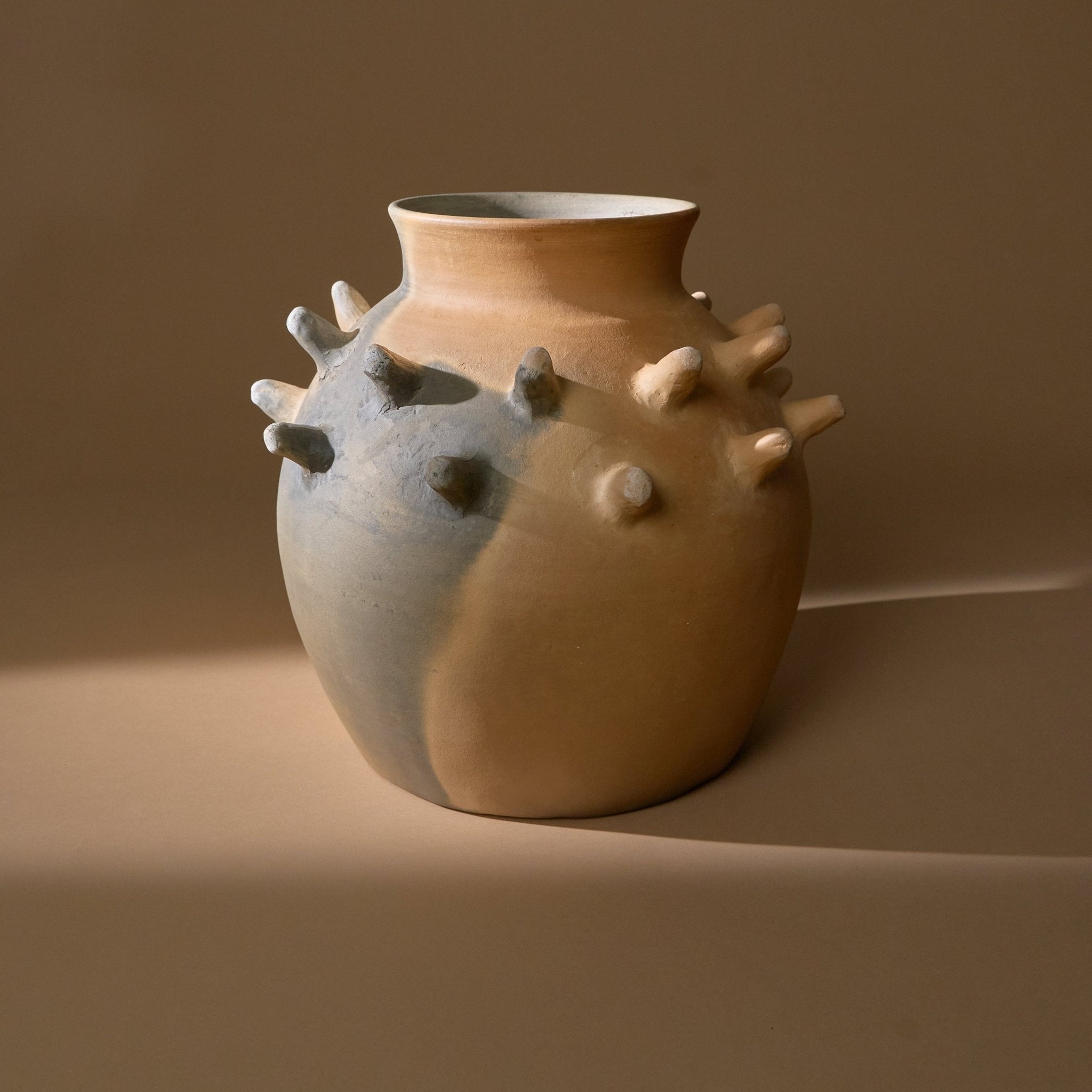 Oaxacan Clay Espinas Vase Rufina Obakki