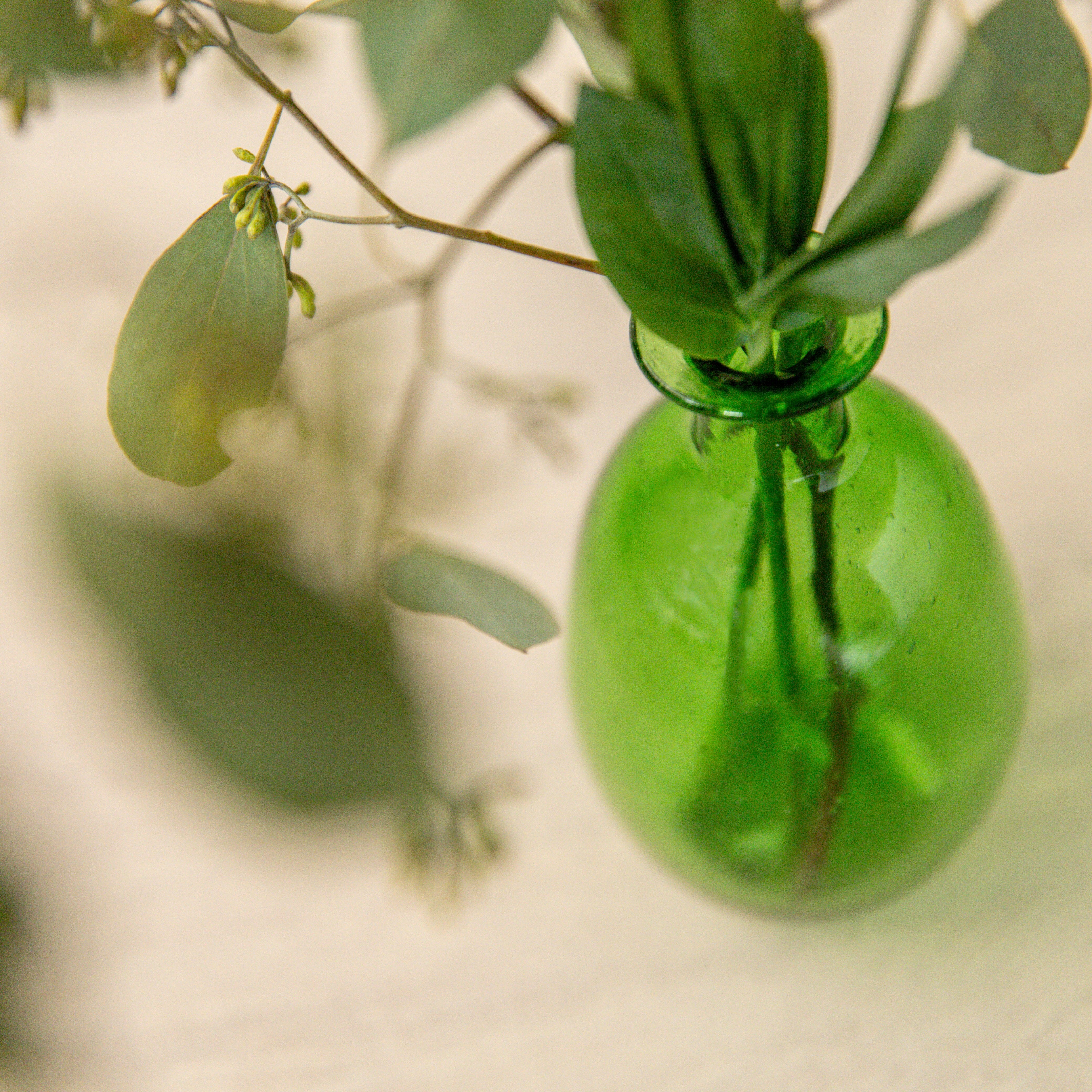 Amour Vase | Lime Vases + Planters 