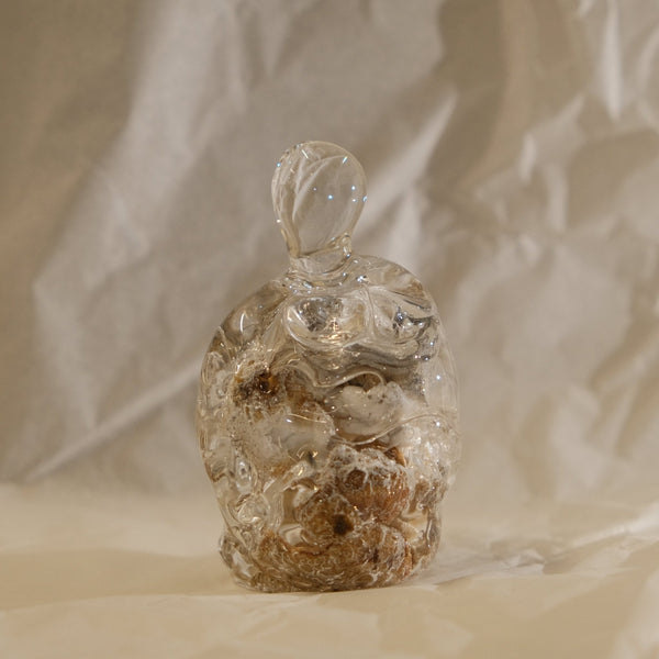 Artisan Shaped Glass Gua Tool | IV Beauty Tool 