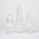 Artisan Shaped Glass Vase | Set of 3 Vases + Planters 