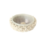 Beeswax Candle Bowl | Gray Candles 