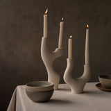 Candle Vase | Branch Candle Holders 