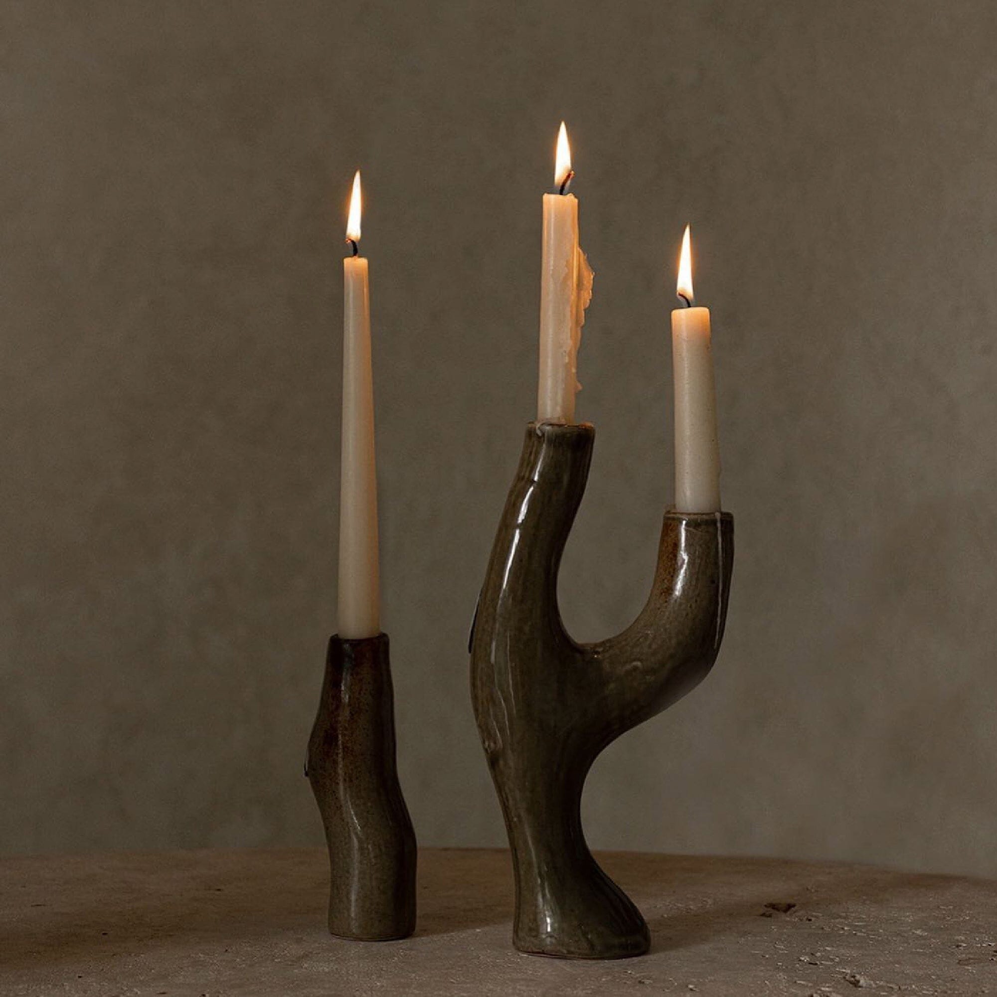 Candle Vase | Branch Candle Holders 