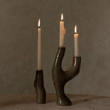 Candle Vase | Branch Candle Holders 