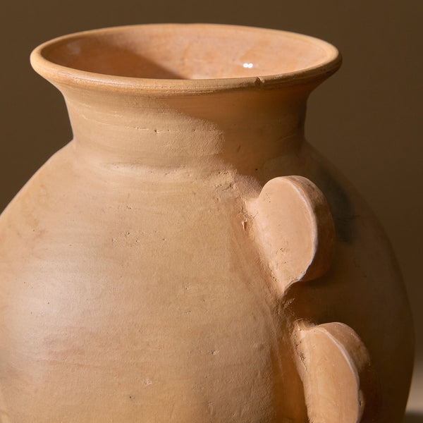 Oaxacan Clay Arowana Vase 
