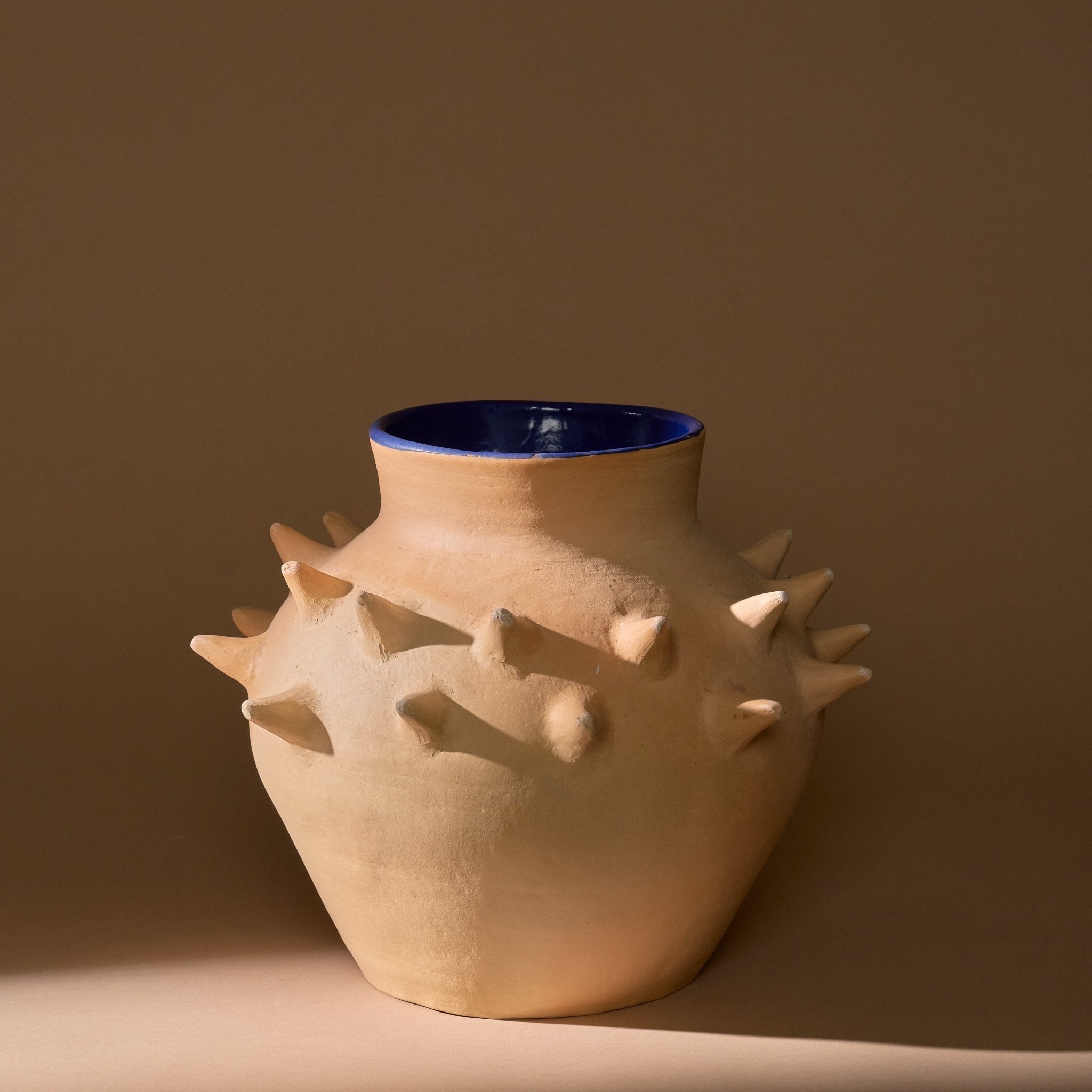 Oaxacan Clay Espinas Vase 