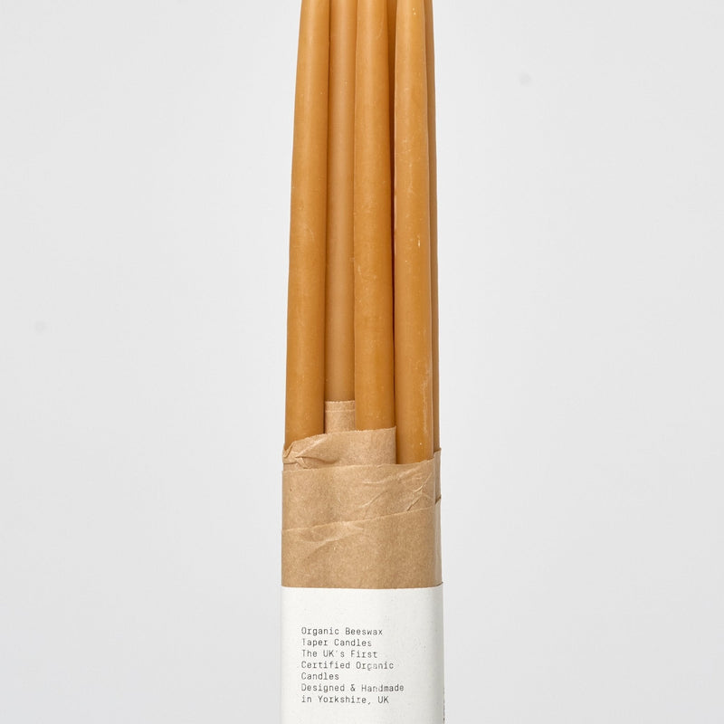 Slim 16" Taper Candle | Paprika Candles & Incense 