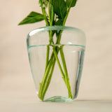 Small Yoshi Vase | Clear Vases + Planters 