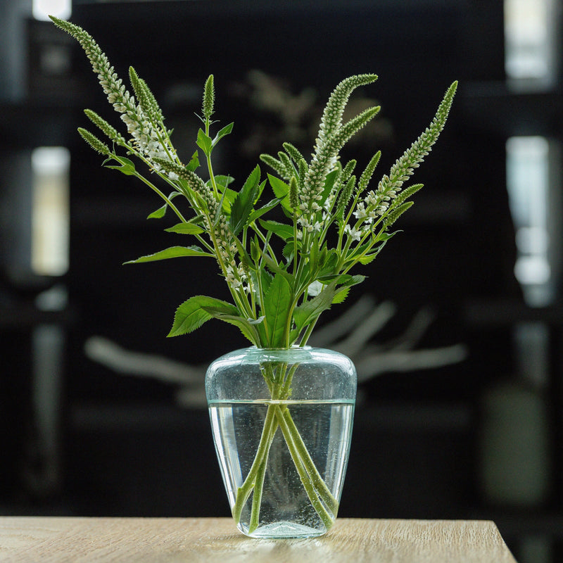 Small Yoshi Vase | Clear Vases + Planters 