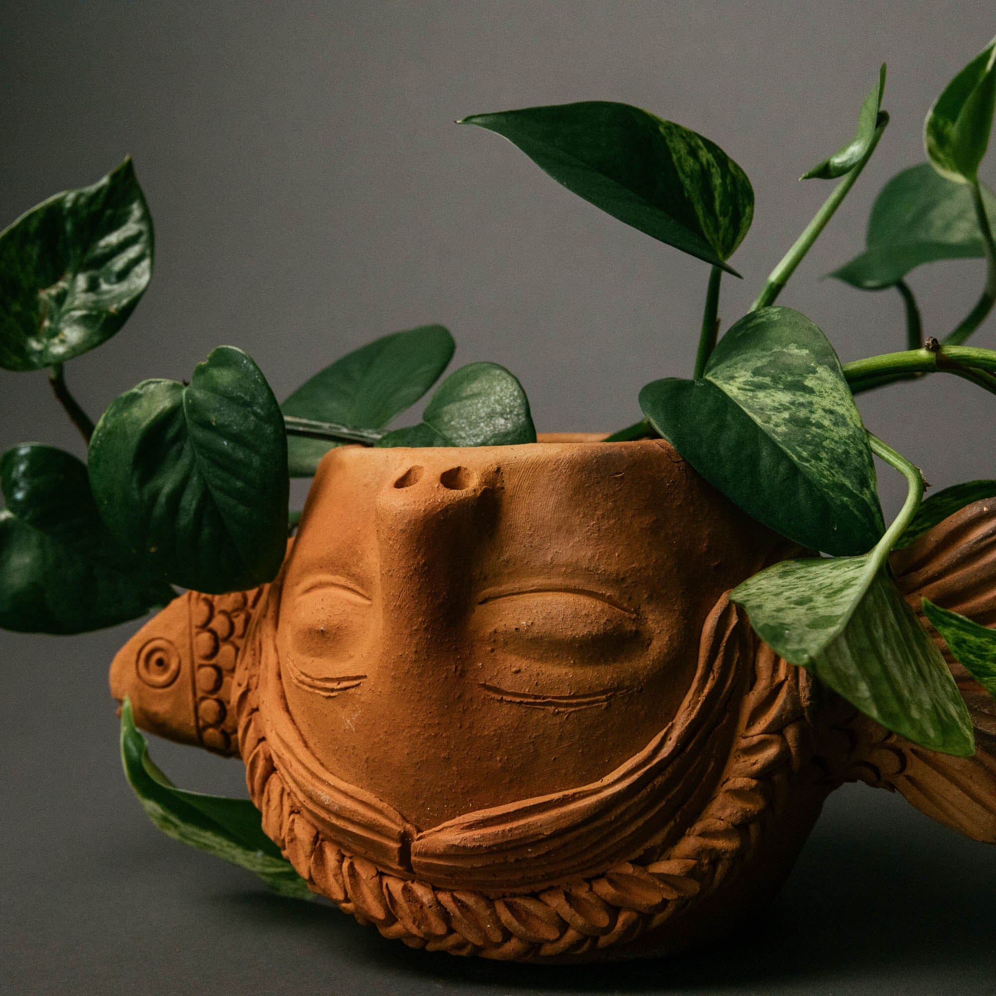 Sonar con Peces Planter | Wide Vases + Planters 