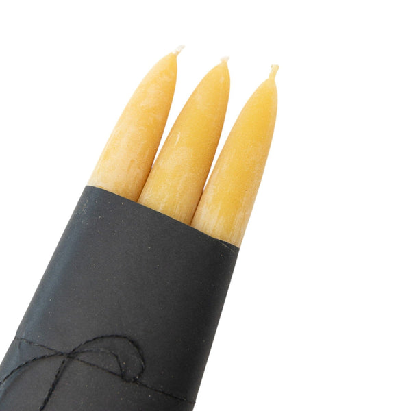 Taper Candle Set of 3 | Cedar Yellow Candles 