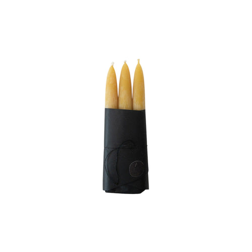 Taper Candle Set of 3 | Cedar Yellow Candles 