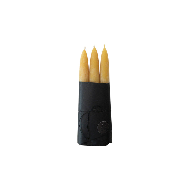 Taper Candle Set of 3 | Cedar Yellow Candles 