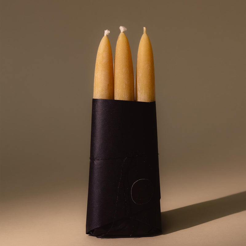 Taper Candle Set of 3 | Cedar Yellow Candles 