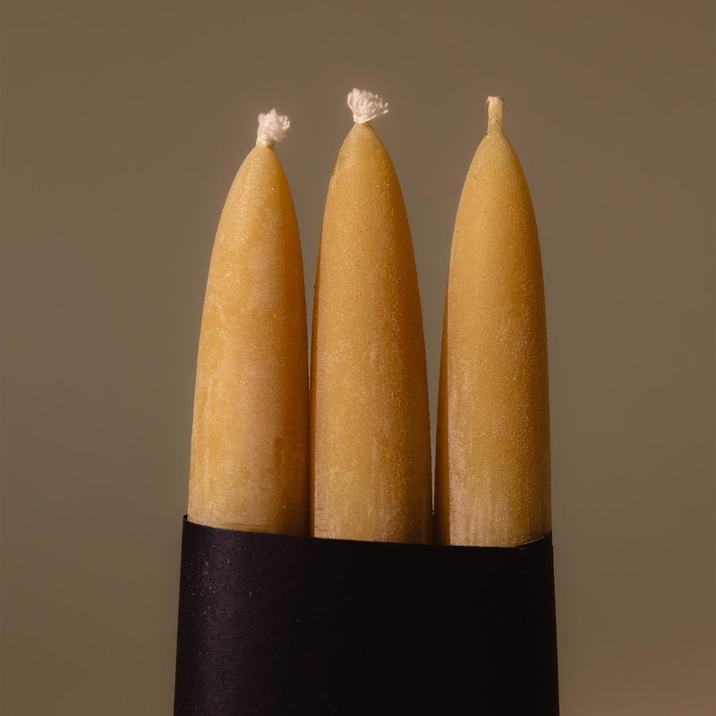 Taper Candle Set of 3 | Cedar Yellow Candles 