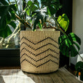 Wave Planter Baskets_AC Palma_201-30-1679-151WHTSmall | Obakki