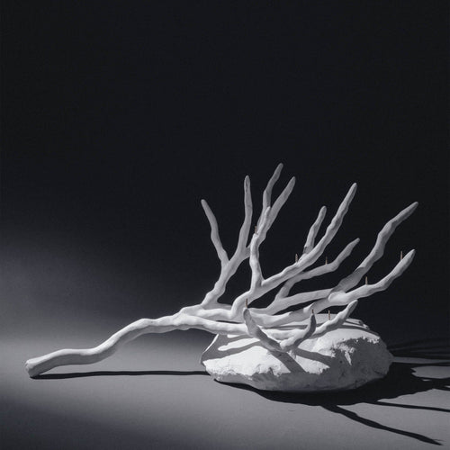 Branch Candelabra III - Sculptures by Isac Kaid | Obakki