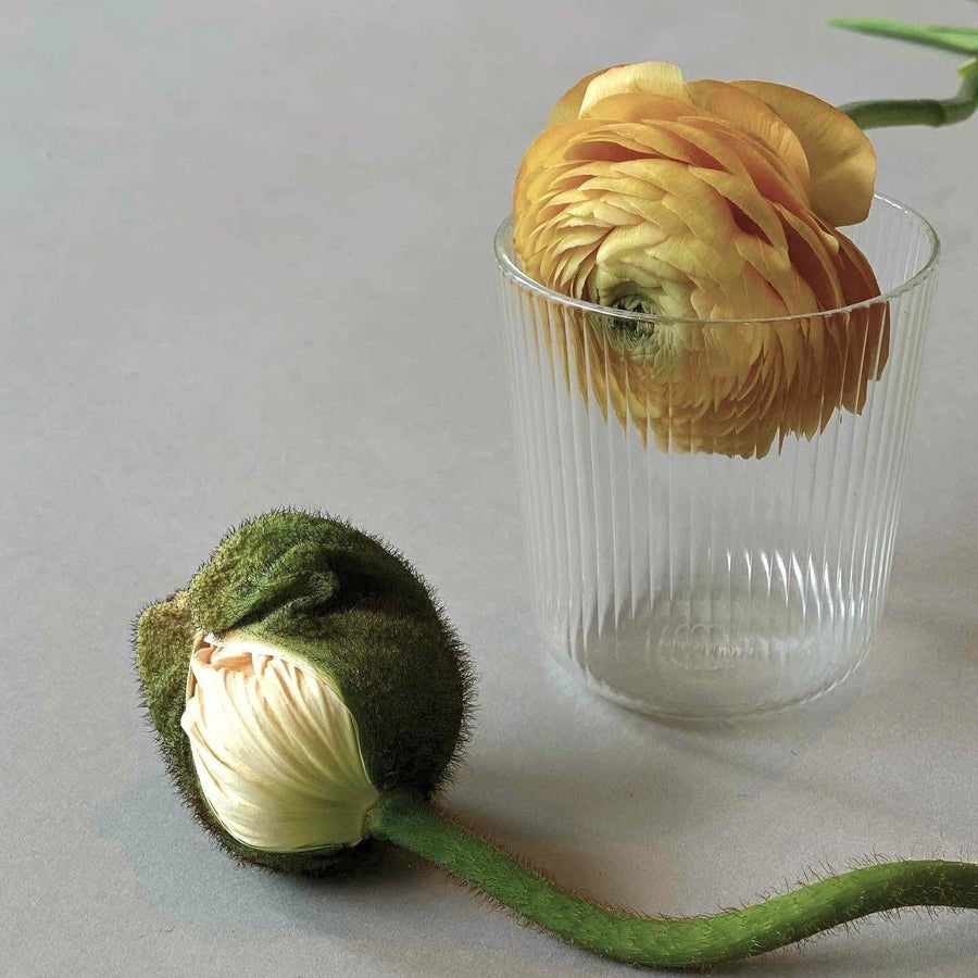 Clear Luisa Acqua | Set of 2_R+D.Lab_201-52-0391-131-Clear-O/S | Obakki