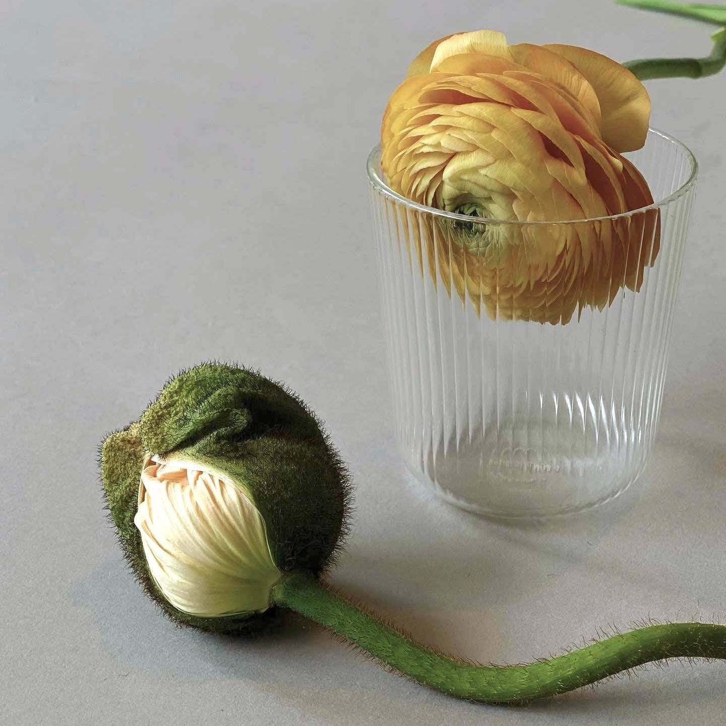 Clear Luisa Vino | Set of 2 - Glassware by R+D.Lab | Obakki