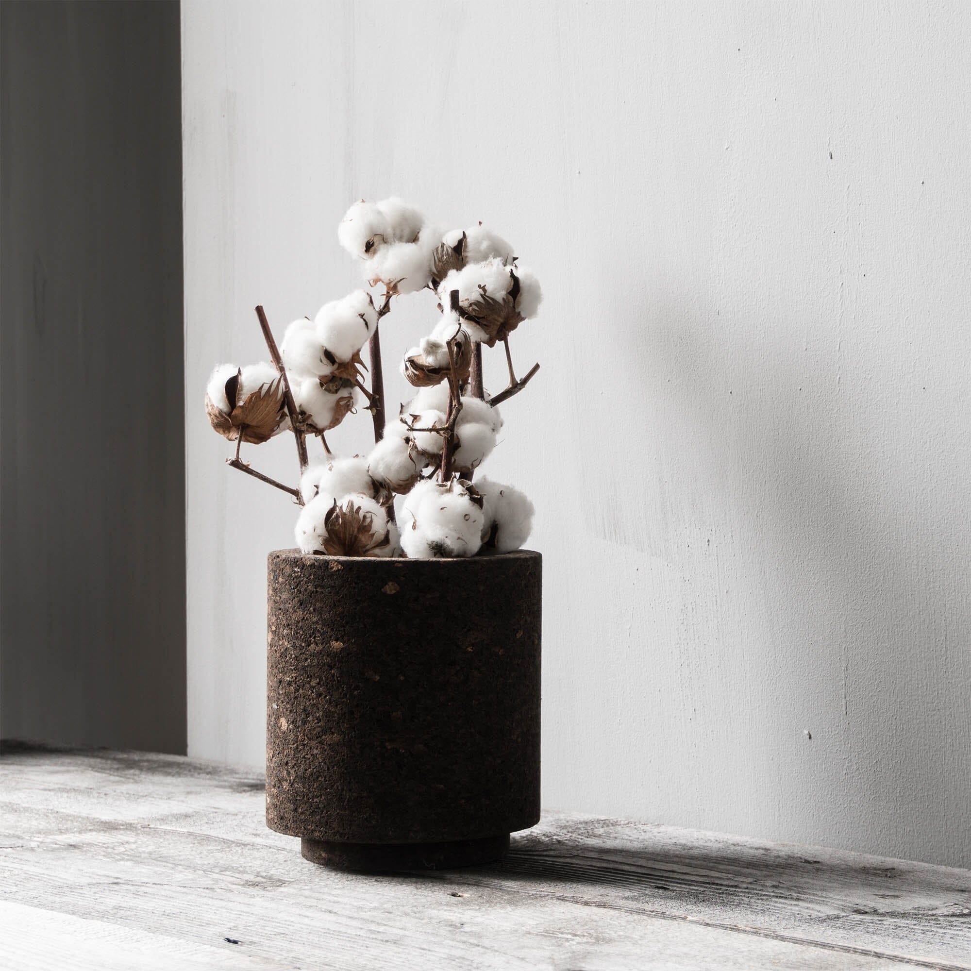 Cork Cylinder | M Vases Studio Corkinho Obakki