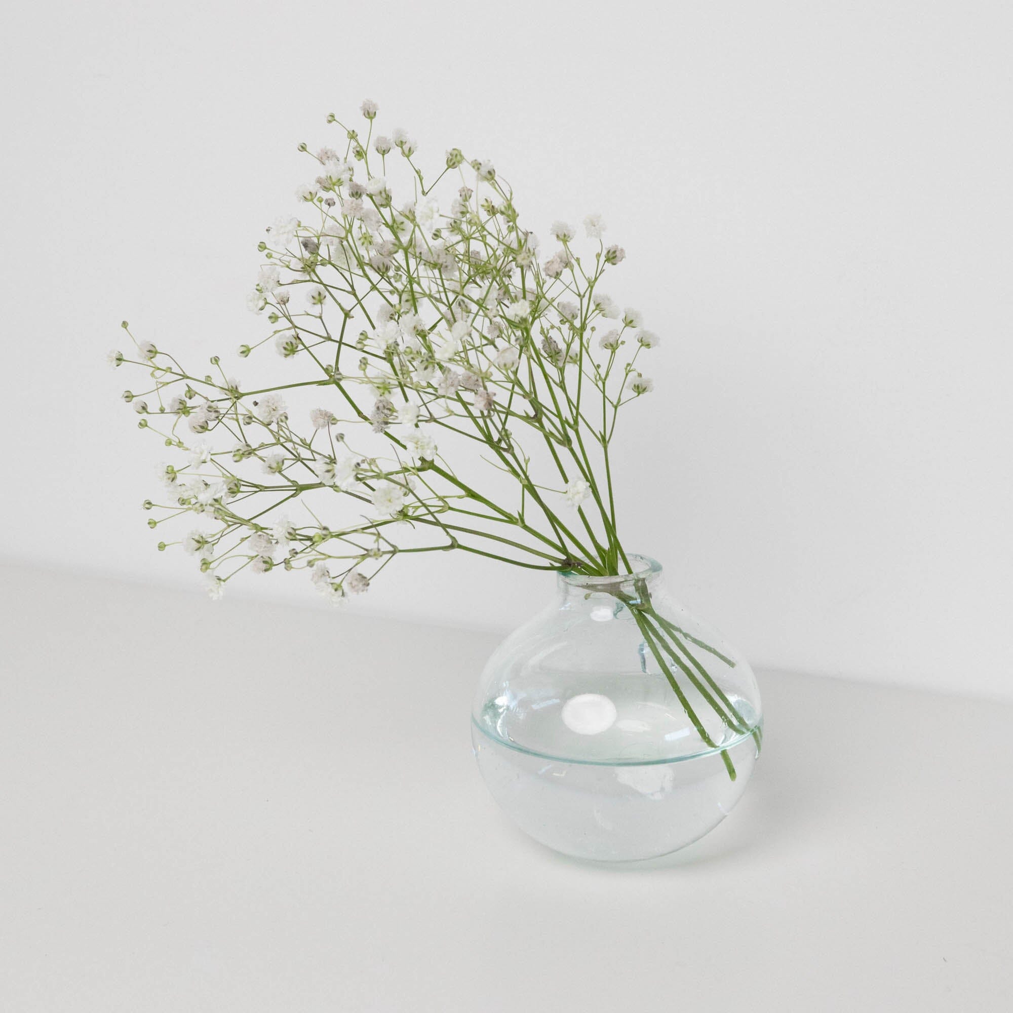 Boule Vase | Clear Vases + Planters 
