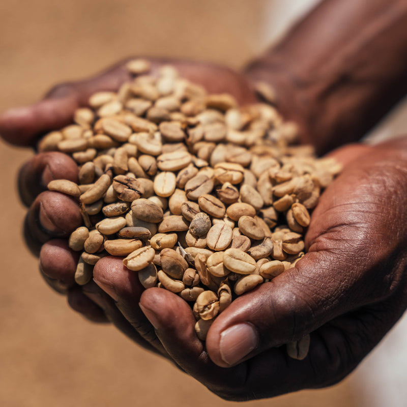 Organic Coffee | Whole Bean Coffee 