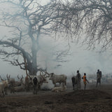 The Dinka Cattle Camp | Photo Print Photos + Art 