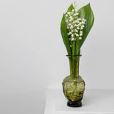 Vase Tete | Olive Green Vases + Planters 