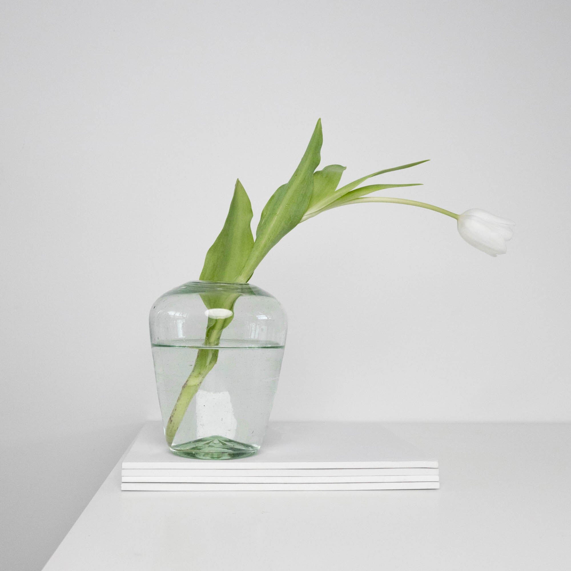 Yoshi Vase | Clear Vases + Planters 
