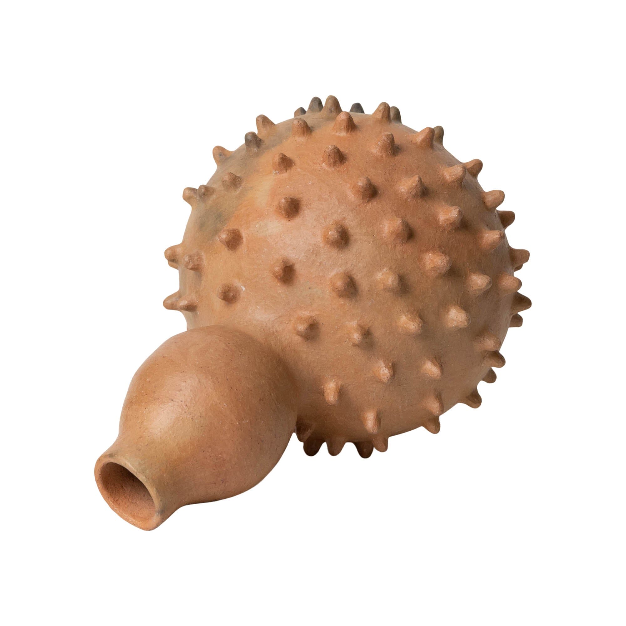 Spiked Pez Globo Vase Vases Julio Martinez Diaz Obakki