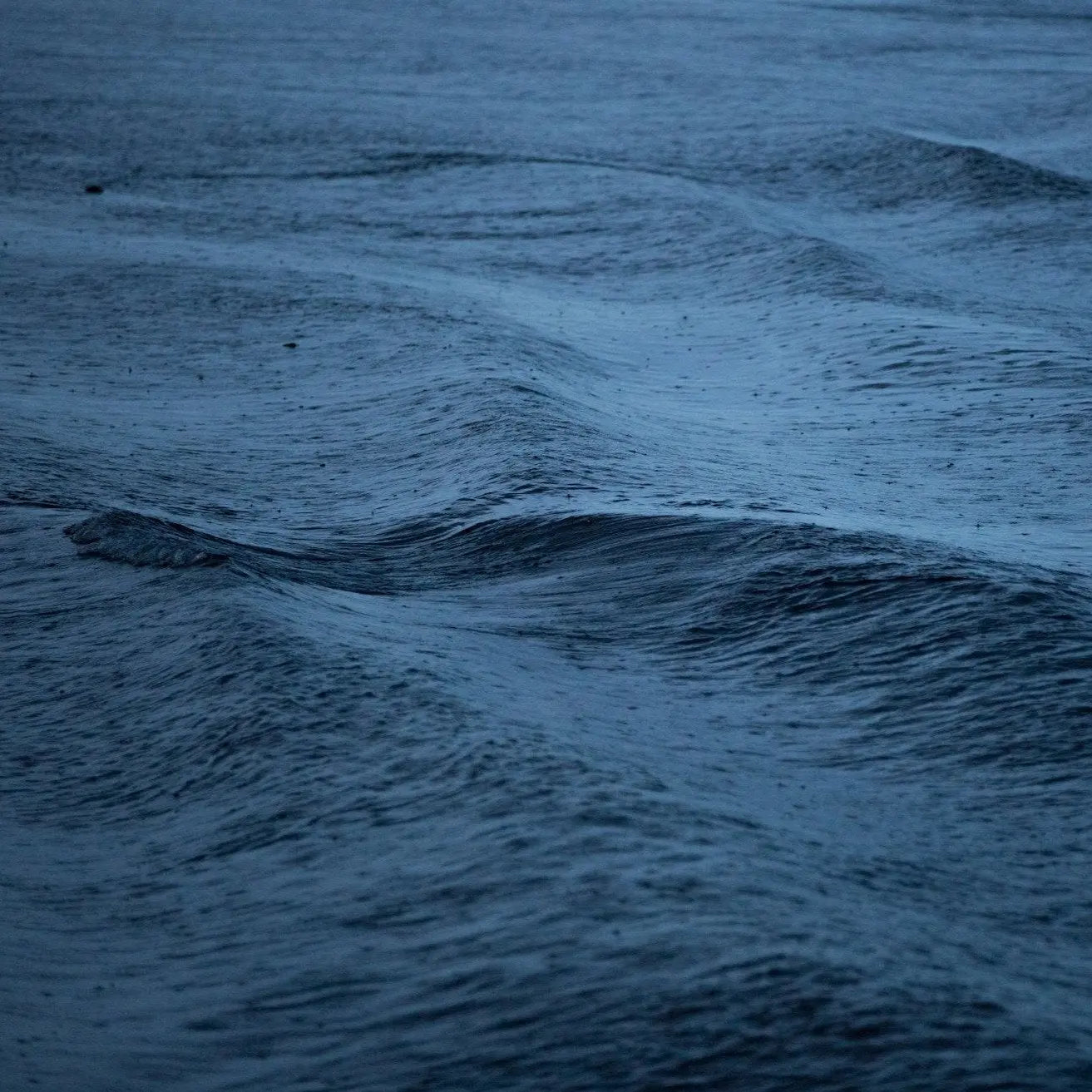 Pacific Photo Print