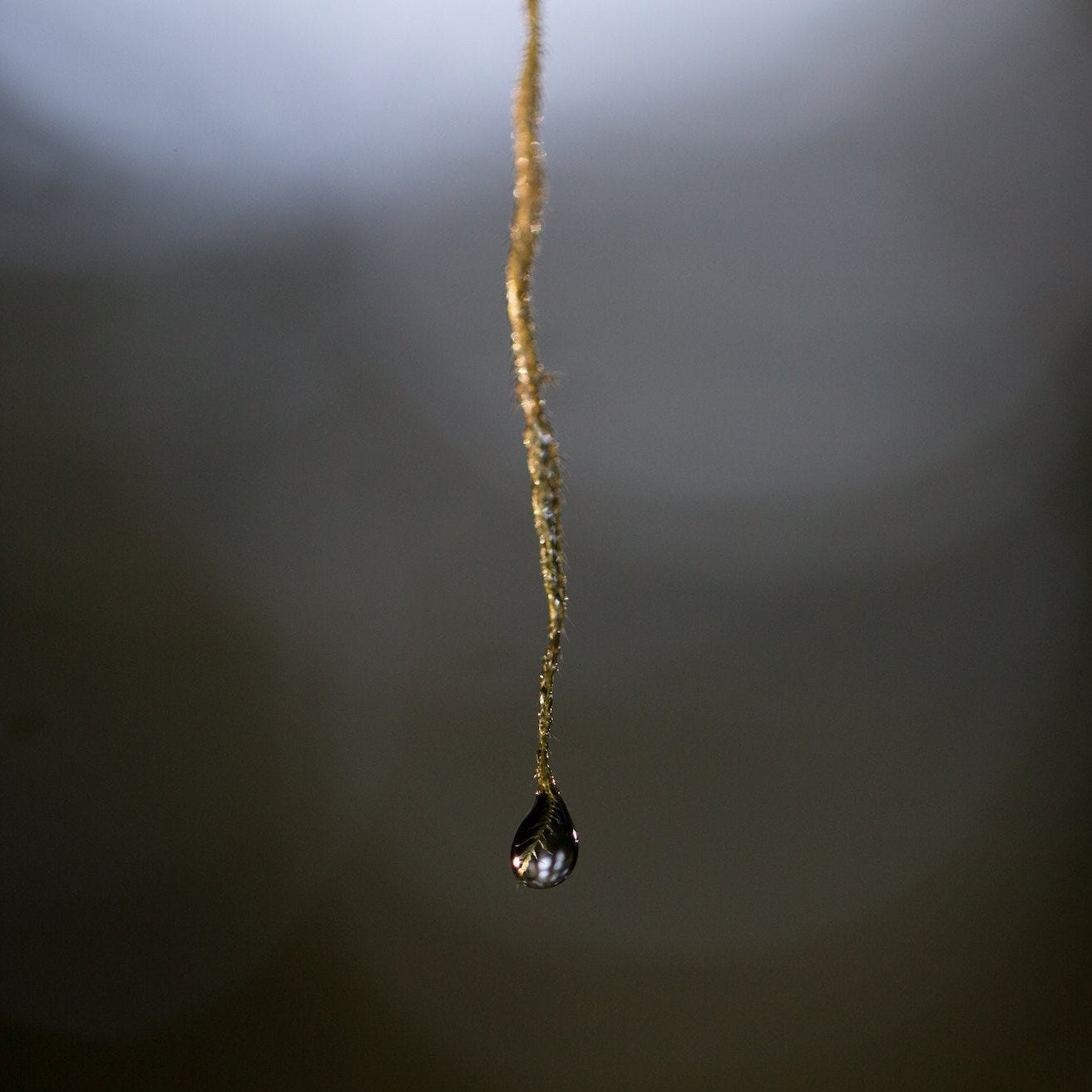 Water is Life Photo Print