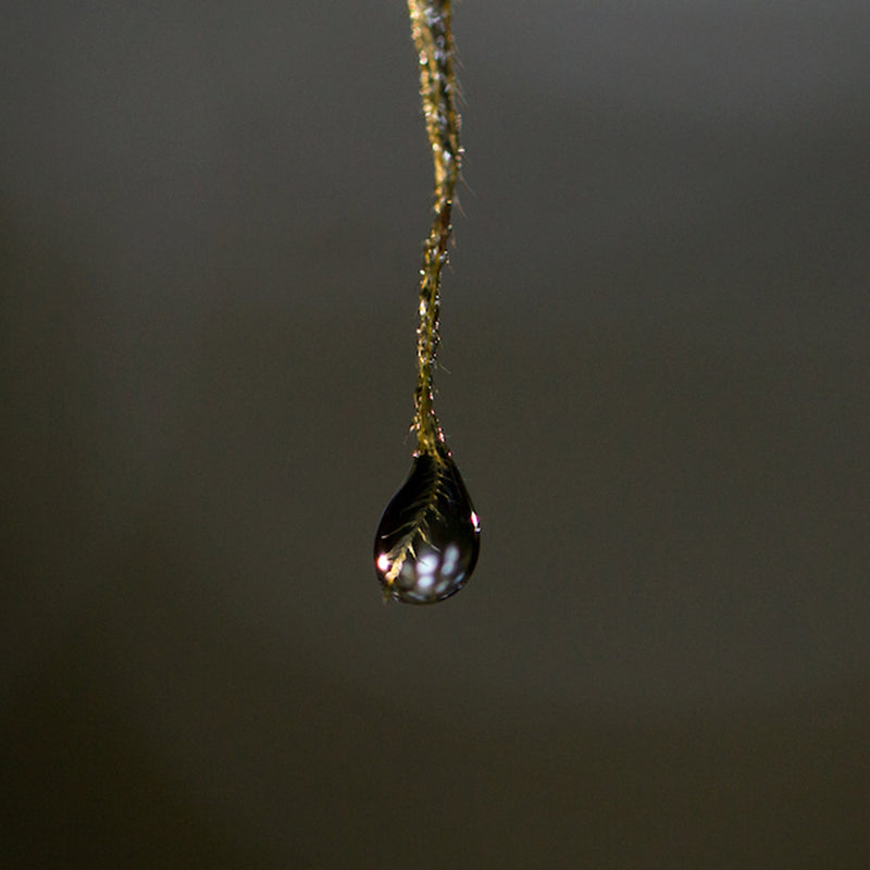 Water is Life | Photo Print - Photo Prints by Obakki | Obakki